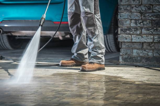 Best Roof Washing  in Eldridge, IA
